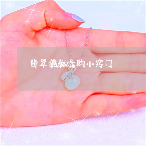 翡翠貔貅选购小窍门/2023091468437