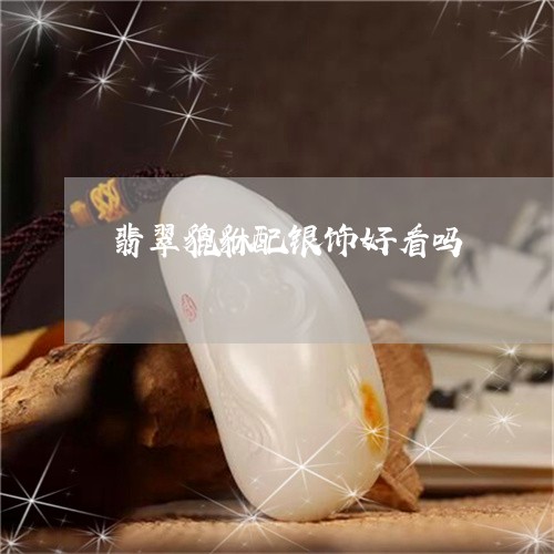 翡翠貔貅配银饰好看吗/2023102592797