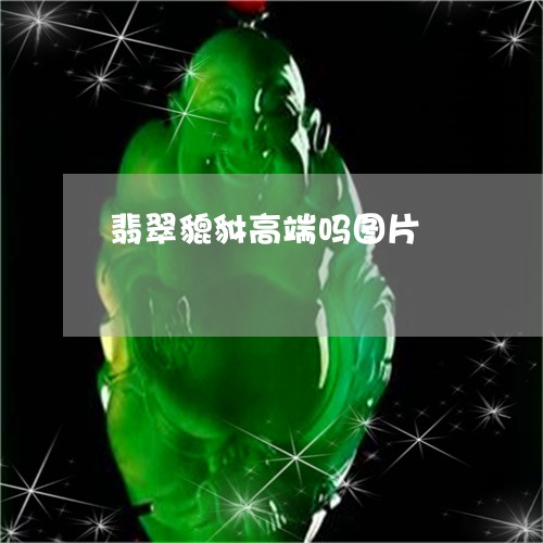 翡翠貔貅高端吗图片/2023091427186