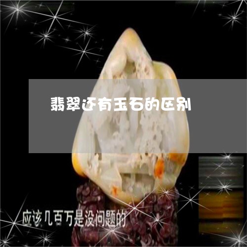 翡翠还有玉石的区别/2023091465147