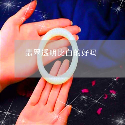 翡翠透明比白的好吗/2023091446008