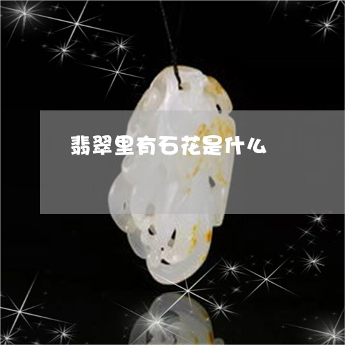 翡翠里有石花是什么/2023091401105