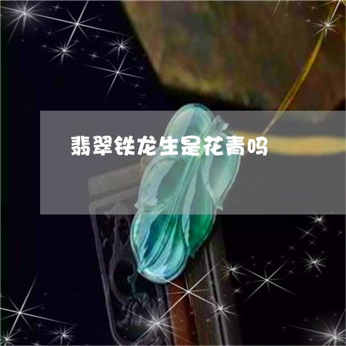 翡翠铁龙生是花青吗/2023091473338