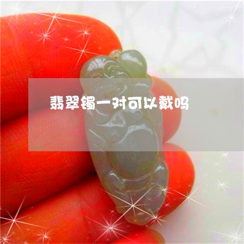 翡翠镯一对可以戴吗/2023091401864