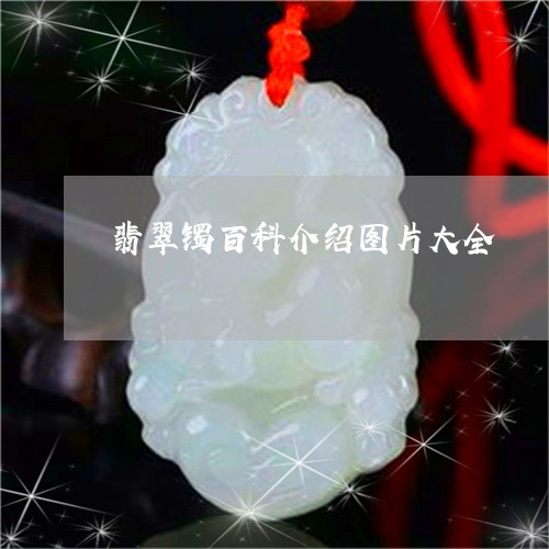 翡翠镯百科介绍图片大全/2023102570974