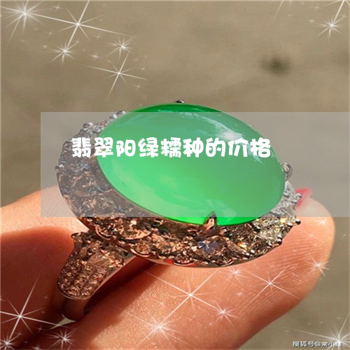 翡翠阳绿糯种的价格/2023091459131