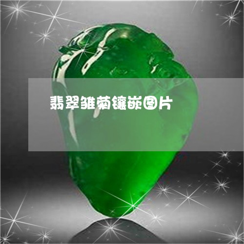 翡翠雏菊镶嵌图片/2023080516205