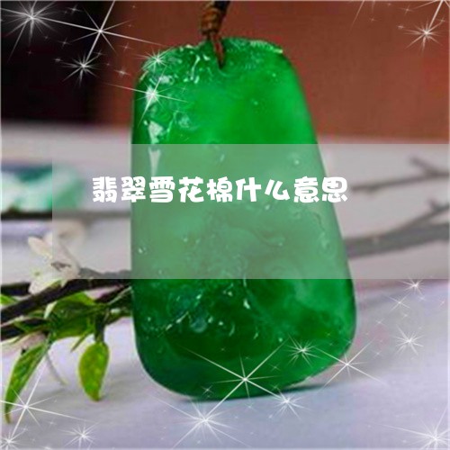 翡翠雪花棉什么意思/2023091405988