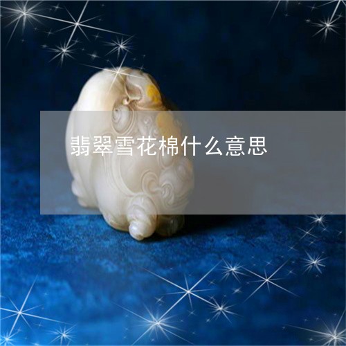 翡翠雪花棉什么意思/2023091428651