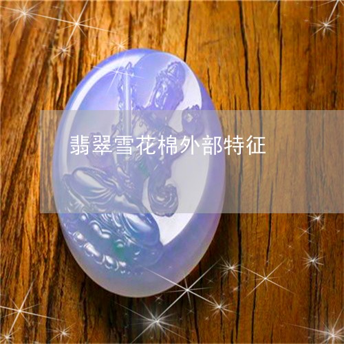 翡翠雪花棉外部特征/2023091491018