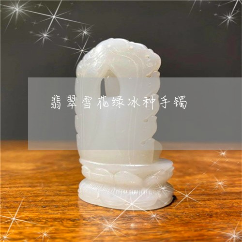 翡翠雪花绿冰种手镯/2023091461449