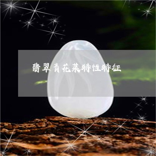 翡翠青花菜特性特征/2023091442389