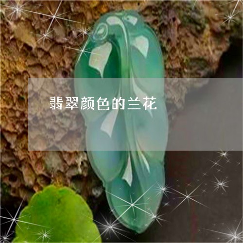 翡翠颜色的兰花/2023110747199