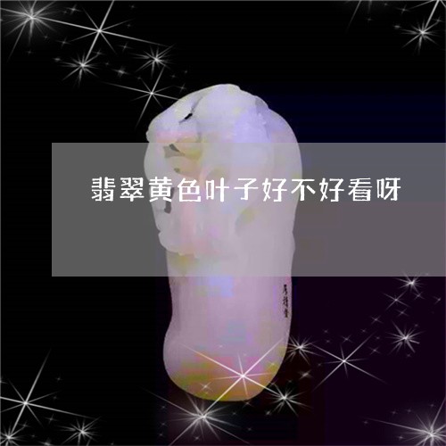 翡翠黄色叶子好不好看呀/2023100598720