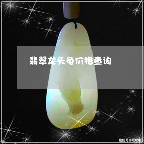 翡翠龙头龟价格查询/2023091352678