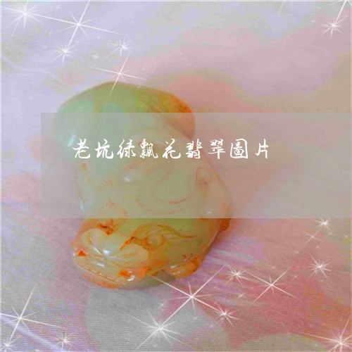 老坑绿飘花翡翠图片/2023091346472