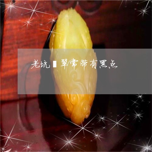 老坑翡翠常带有黑点/2023091391286