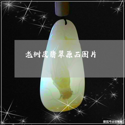 老树皮翡翠原石图片/2023091304350