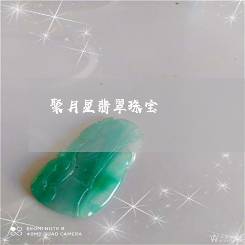 聚月星翡翠珠宝/2023101823947