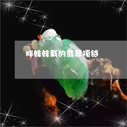 胖妹妹戴的翡翠项链/2023101902314