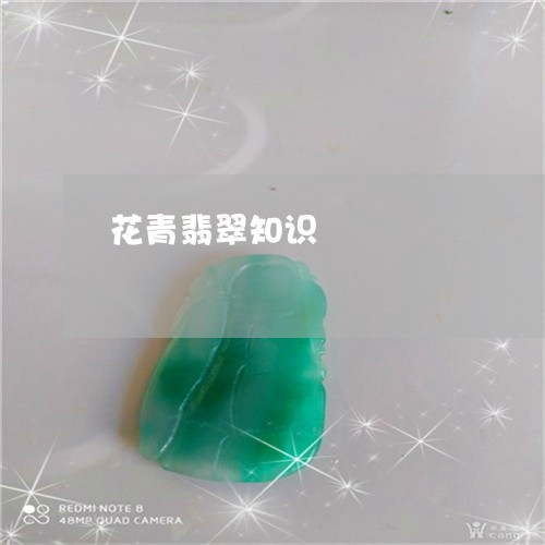 花青翡翠知识/2023081274560