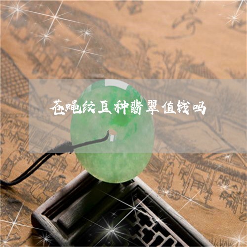 苍蝇纹豆种翡翠值钱吗/2023082457199