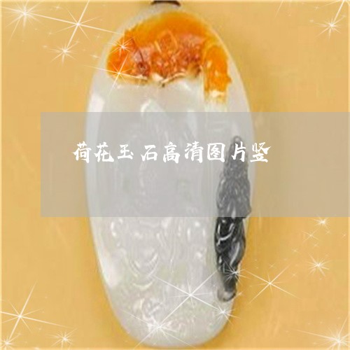 荷花玉石高清图片竖/2023091333585