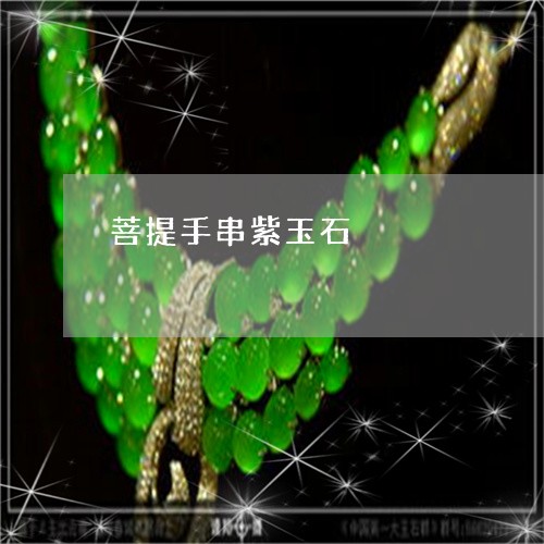 菩提手串紫玉石/2023101833565