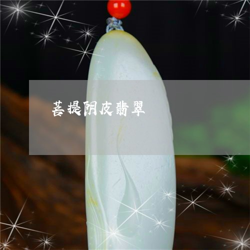 菩提阴皮翡翠/2023081250755