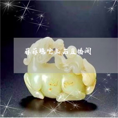 菲菲珠宝玉石直播间/2023110179360