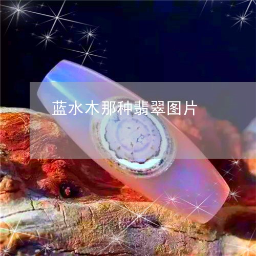 蓝水木那种翡翠图片/2023091223395