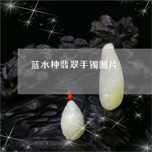 蓝水种翡翠手镯图片/2023091277039