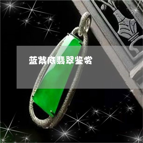 蓝紫底翡翠鉴赏/2023080519704