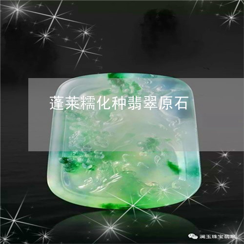 蓬莱糯化种翡翠原石/2023091318008