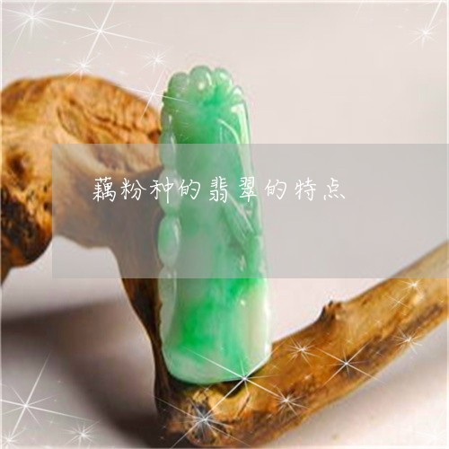 藕粉种的翡翠的特点/2023091393985