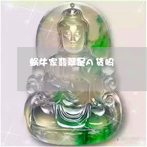 蜗牛家翡翠是A货吗/2023091337061