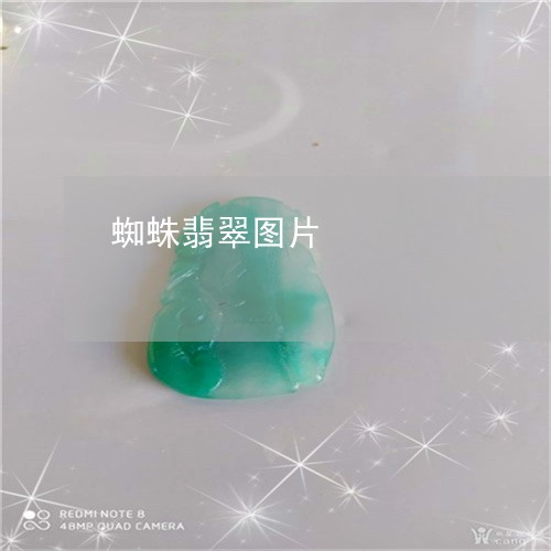 蜘蛛翡翠图片/2023081246126