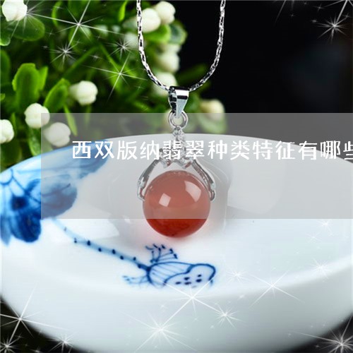 西双版纳翡翠种类特征有哪些/2023110665975