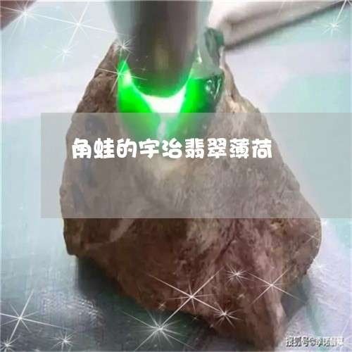 角蛙的宇治翡翠薄荷/2023091391719