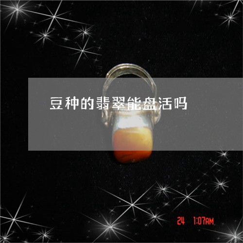 豆种的翡翠能盘活吗/2023091354394