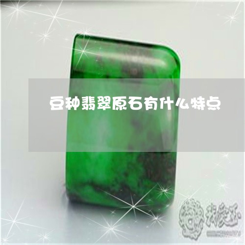 豆种翡翠原石有什么特点/2023102641036