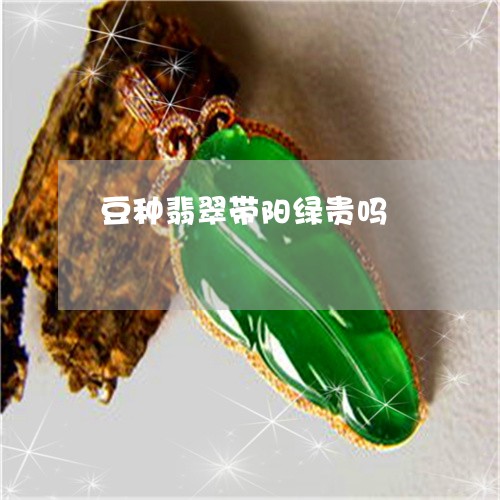 豆种翡翠带阳绿贵吗/2023091211036