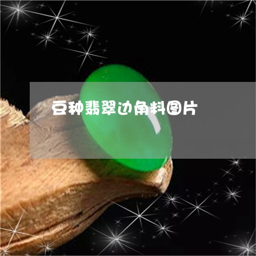 豆种翡翠边角料图片/2023110231332