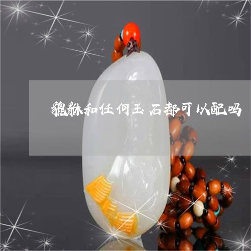 貔貅和任何玉石都可以配吗/2023092894450