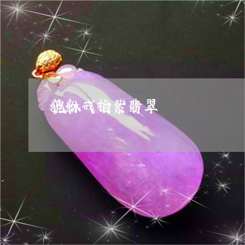 貔貅戒指紫翡翠/2023101878586