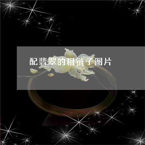 配翡翠的粗链子图片/2023110793753