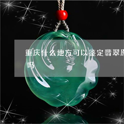 重庆什么地方可以鉴定翡翠原石有联系电话吗/2023080400618