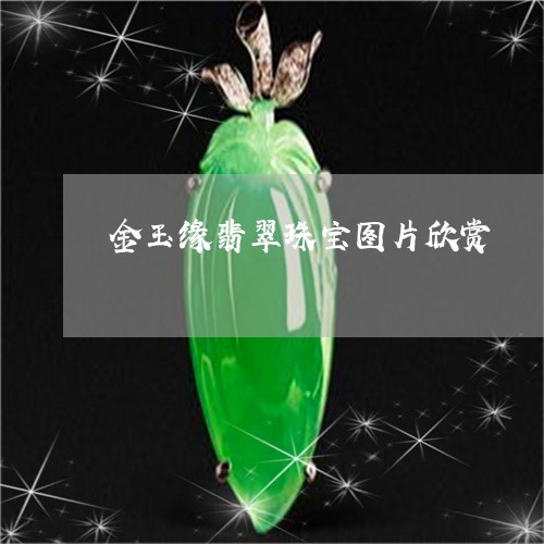 金玉缘翡翠珠宝图片欣赏/2023092720578