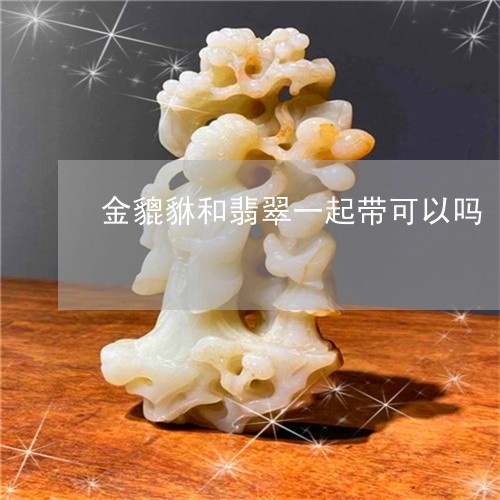 金貔貅和翡翠一起带可以吗/2023092920669