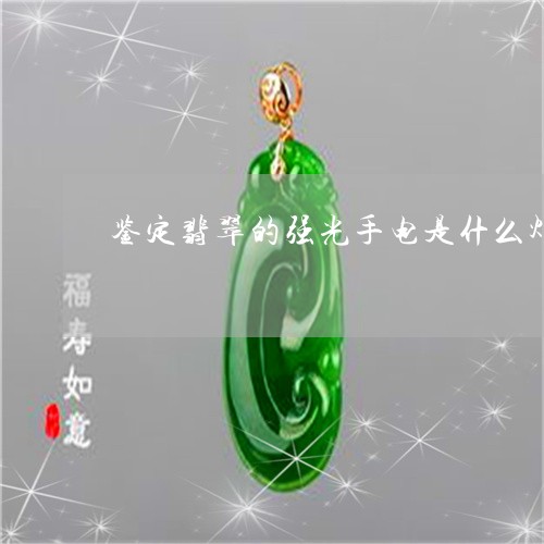 鉴定翡翠的强光手电是什么灯/2023101769639